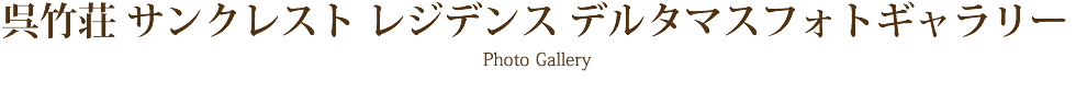 くれたけインキンマー132フォトギャラリー